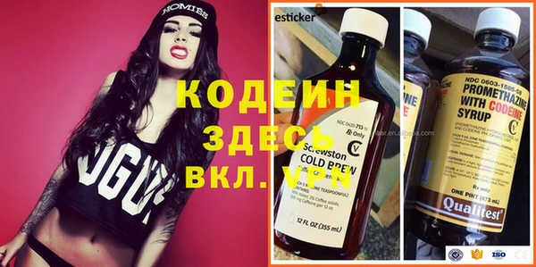 индика Богданович